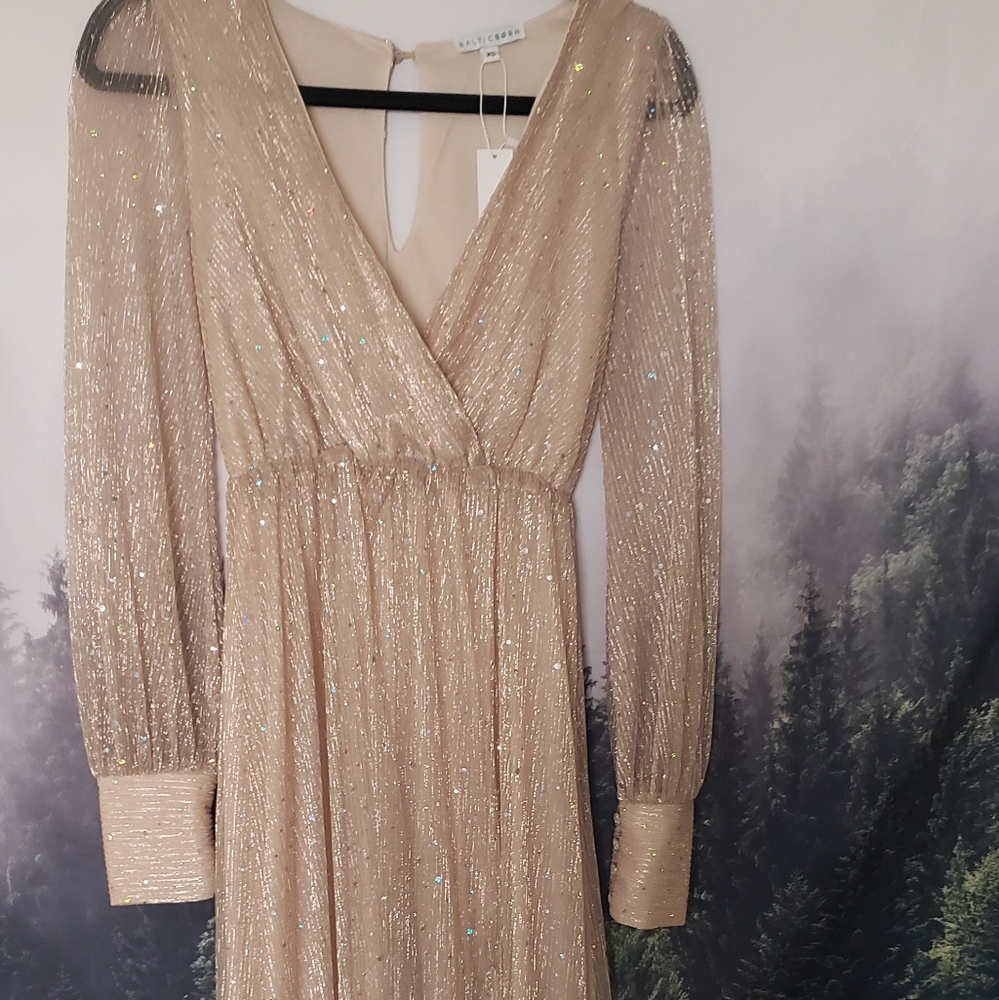 Baltic Born Albigal Champagne Sparkle Gown - Picture 3 of 10